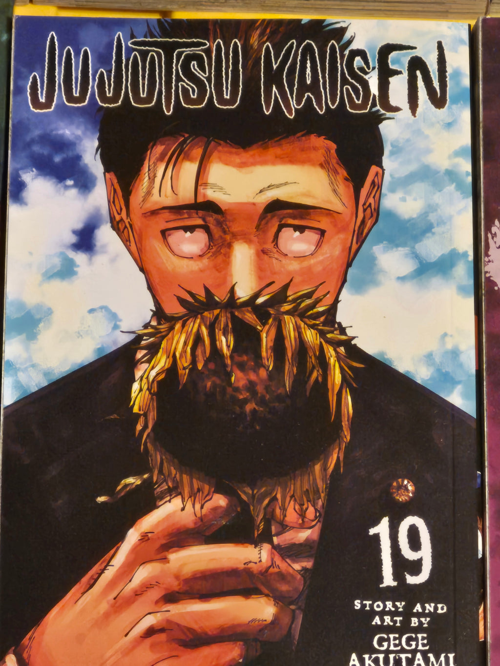 Jujutsu Kaisen — 19-Volume Bundle (Vol. 2, 4–21) | Gege Akutami